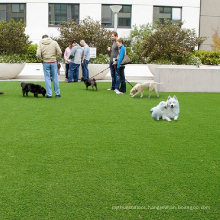 50mm Artificial Lawn for Pets Synthetic Lawn for Pets
